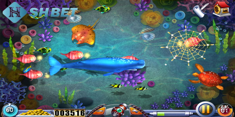 bắn cá Bingo Tổng quát về bắn cá Bingo là gì?