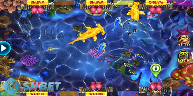 súng bắn cá Lưu ý khi sử dụng súng bắn cá