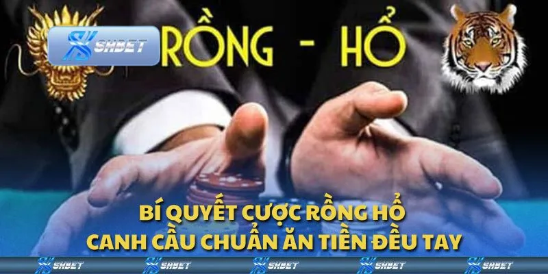 Bí quyết cược rồng hổ - Canh cầu chuẩn ăn tiền đều tay
