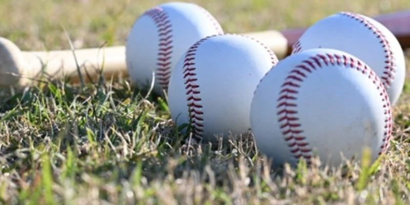 Chiến thuật cược bóng chày chuẩn xác nhất