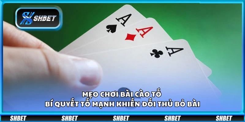 Mẹo chơi Bài Cào Tố – Bí quyết tố mạnh khiến đối thủ bỏ bài