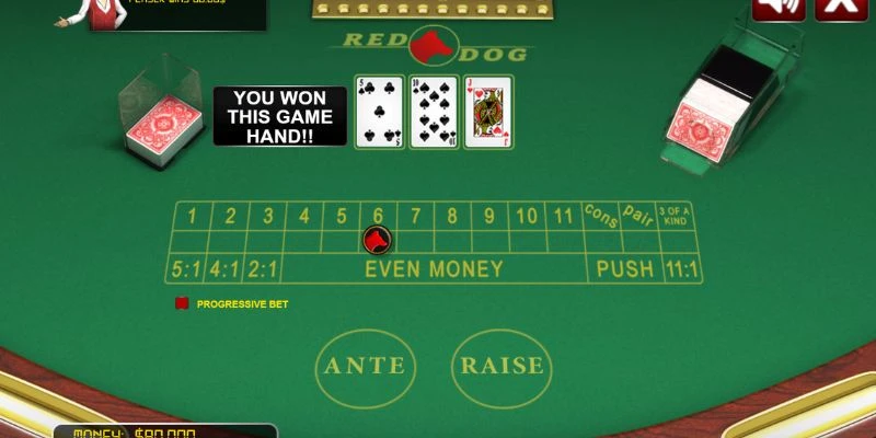 Mẹo cược Red Dog hiệu quả từ cao thủ