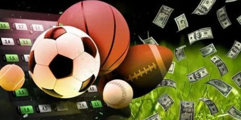 Các loại kèo nên đặt cược khi chơi live