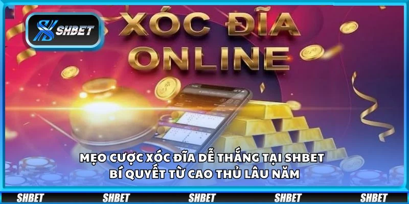 Mẹo cược Xóc Đĩa dễ thắng tại Shbet – Bí quyết từ cao thủ lâu năm